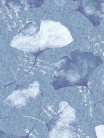 jeans-ginkgo-writing